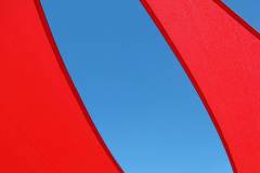 IMG_8025